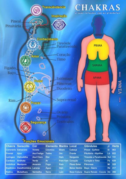 Chakras e suas relações